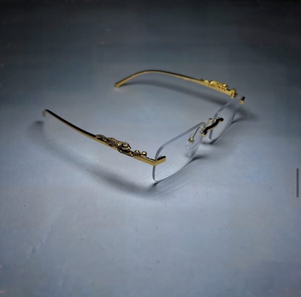 img_5709 Jaguar Classic transparente