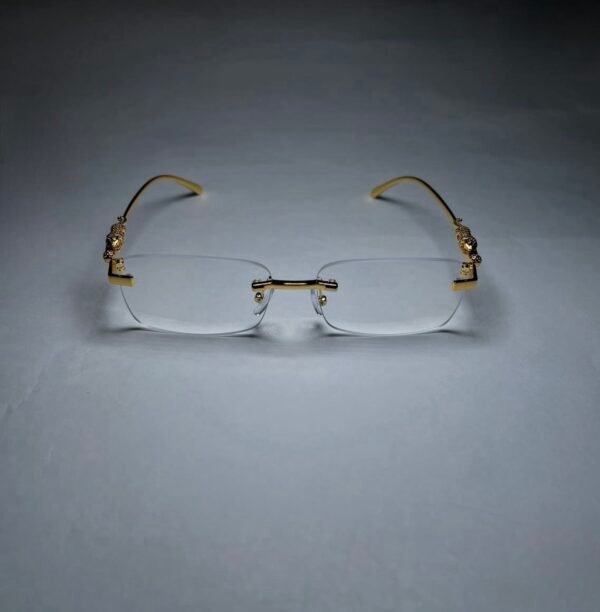 img_5710 Jaguar Classic transparente