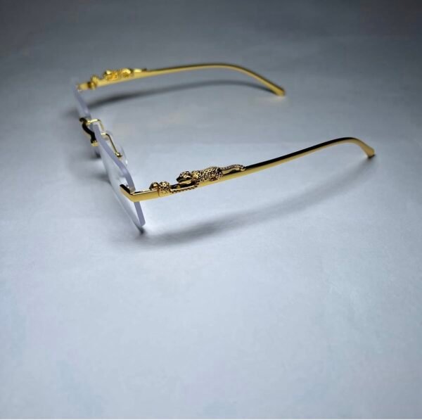 img_5711 Jaguar Classic transparente