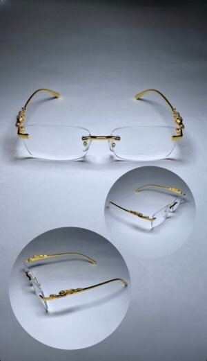 img_5724 Jaguar Classic transparente