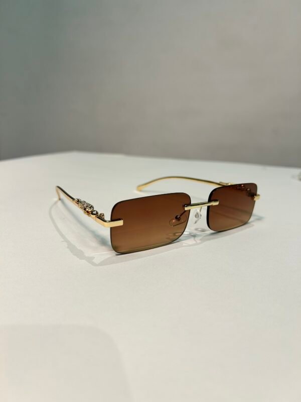 img_7225 Jaguar Classic varios tonos