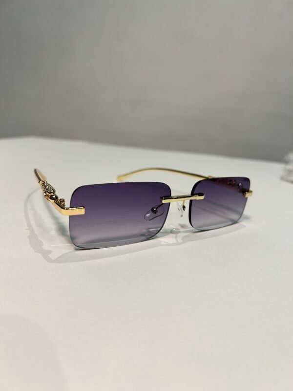 img_7226 Jaguar Classic varios tonos