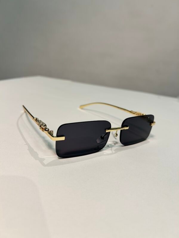 img_7228 Jaguar Classic varios tonos