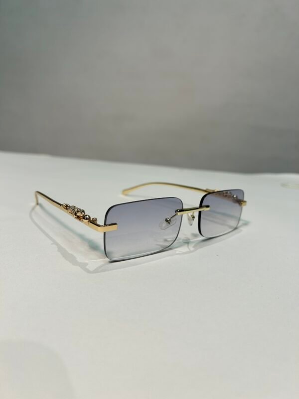 img_7235 Jaguar Classic varios tonos